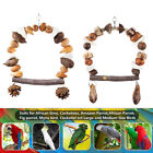 Parrot chew toy for training climbing grinding teeth relief durable bird toy