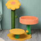 Cat Tree Climbing Frame Scratching Post Cat Nest Small Cat Activity Furniture