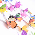 Luminous Butterfly Design Decal Art Wall Stickers Room Home Decoration Art New