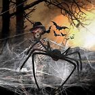 4Pcs Giant Spider Halloween Decoration Haunted House Prop Indoor Outdoor Party A