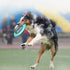 files/s-l140_89a85585-c40b-4a1b-977b-b471031dbcda.jpg