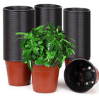 500pcs Plastic Plant Pot Flowers Garden Nursery Seeding Growing Container Bulk AU