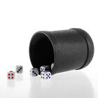 5 Set of 2 Straight Dice Cup With 12x Dice KTV Pub Casino Party Game Toy Profess