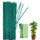 80PCS Orchid Supporting Fixed Stake Clip Set Grow Upright Stake Healthy Plant AU