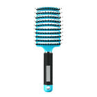 2PCS Nylon Bristle Brush Hair Smooth Hair Head Scalp Massage Comb Blue/Gradient