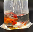 50-500X Aquarium Fish Transport Bags Plastic Shipping Breathing Long Life Clear