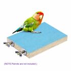 10pcs Parrot Hanging Swing Bird Cage Toys Parakeet Cockatiel Budgie Harness Toys