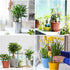 files/s-l140_a80daeec-8a56-45d4-9511-9f588b8c1376.jpg