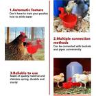 Automatic Chicken Water Cup Waterer Poultry Drinking Bowl Feeder Drinker