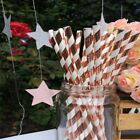 50pcs Foil Paper Straws Metallic Wedding Birthday Party Tableware Biodegradable