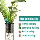 40pcs Hydroponics Plant Grow Net Cup Mesh Pot Basket Mesh Aeroponic Aquaponic AU