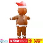 Back view of the inflatable gingerbread man costume