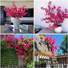 Artificial Bougainvillea Vine Branch Artificial Flower Iron Wire Stem Home Decor