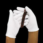 5 Pairs Handling Work Hands Protector Soft Costume Jewellery Cotton White Gloves