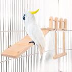 Bird Swing Toy Wooden Parrot Perch Stand Playstand Beads Cage Playground