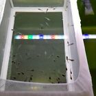 2PCS Aquarium Fish Breeding Box White Isolation Net PVC Hatchery Tool Species