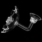 Aquarium Fish Tank Shrimp Food Feeder Clear Glass Feeding Dish Tank Accessory