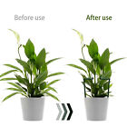 Half Round Garden Plant Vegetable Flower Support Stakes Sturdy Support Ring Cage