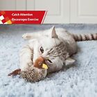 2PCS Real Chirping Indoor Bored Interactive Cat Toy Bird Electronic Kitten Toys