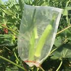 10/50PC Fruit Net Bags Agriculture Garden Vegetable Protection Mesh Insect Proof