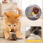 2PCS Real Chirping Indoor Bored Interactive Cat Toy Bird Electronic Kitten Toys