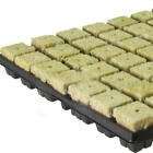 Grow Starter Rockwool Cubes Plug Hydroponic Planting Cloning Propagation