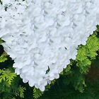 60x40cm Artificial Hydrangea Flower Wall Panels Wedding Party Garden Venue Decor