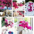 files/s-l140_ecca7fba-32a8-45af-899b-610be6c6544c.jpg