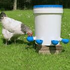 20PCS Automatic Chicken Water Cup Waterer Poultry Drinker Feeder Drinking Bowl A