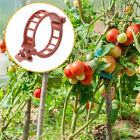 200PCS Tomato Greenhouse Ties Veggie Plant Support Clips Garden trellis Stake AU