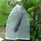 10/50PC Fruit Net Bags Agriculture Garden Vegetable Protection Mesh Insect Proof