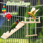 Bird Swing Toy Wooden Parrot Perch Stand Playstand Beads Cage Playground