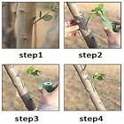 5PCS 120m Grafting Tape Nursery Stretchable Fruit Tree Plant Like Tools New AU