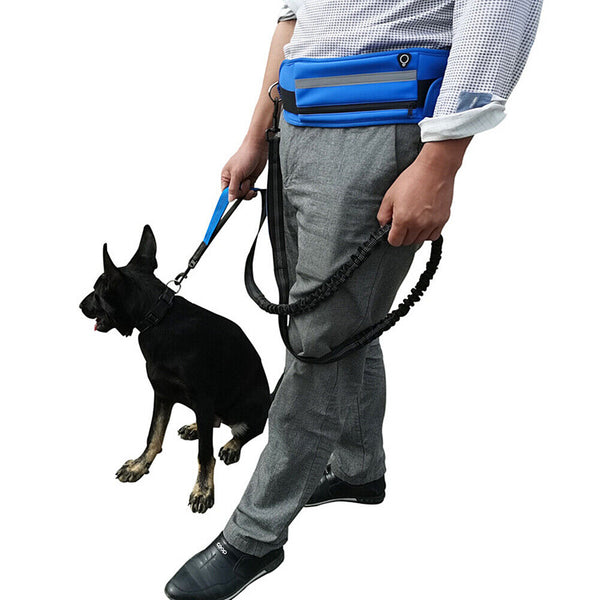 Adjustable Hands Free Dog Leash Lead + Waist Bag Belt Jogging Walking Running