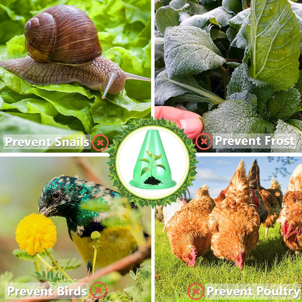 12PCS Plant Bell Covers – Reusable Garden Plant Protection Domes