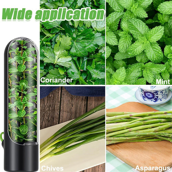 3pcs Herb Saver Keeper for Refrigerator | Fresh Produce Storage Container for Herbs & Vegetables