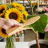 files/s-l1600_04cb3730-d222-46c4-bf8f-86dce596bbb2.jpg