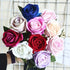files/s-l1600_072d0703-658f-48f0-a220-9ad4d6e5f670.jpg