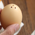 files/s-l1600_0a858924-07b2-461c-9cba-eedfaa57abac.jpg