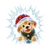 files/s-l1600_0ebe1831-995a-48fb-b6a2-36c7c46dc9fd.jpg