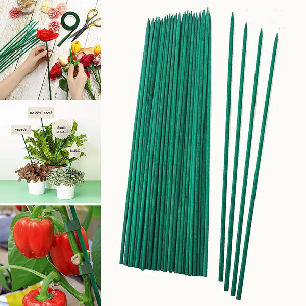 80PCS Orchid Supporting Fixed Stake Clip Set Grow Upright Stake Healthy Plant AU