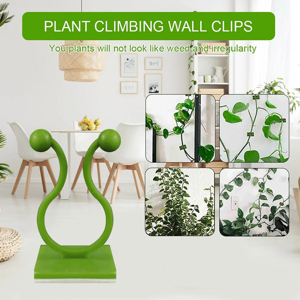 100Pcs Invisible Wall Rattan Clamp Clip Plant Climbing Wall Clip Wall Vines Fixt