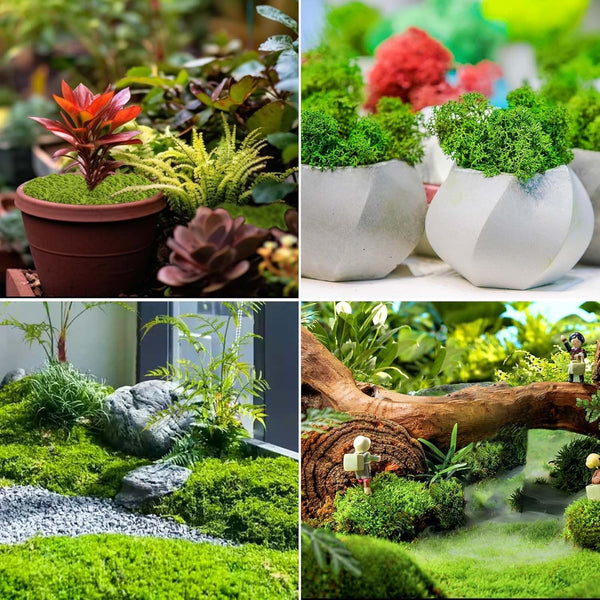 1000g Artificial Moss Decoration | Fake Green Moss for Terrariums, Crafts & Garden Decor