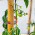 files/s-l1600_1bf29ab9-052f-4494-a7bc-7a1efb12d519.jpg