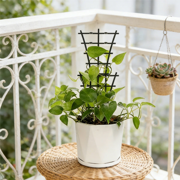 20pc Garden Plant Climbing Trellis Vegetables Flowers Support For Plant Ties Pot