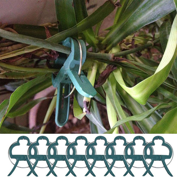 120X Garden Plant Clip Tomato Tie Stem Orchid Support Weatherproof Grow Training
