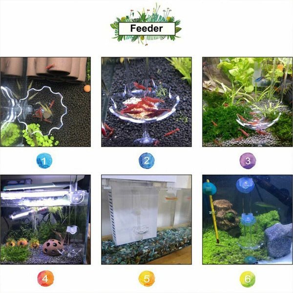 Aquarium Fish Tank Shrimp Food Feeder Clear Glass Feeding Dish Tank Accessory