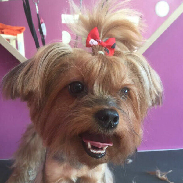 100PCS Pet Small Dog Hair Bows Rubber Bands Puppy Cat Grooming Accessory