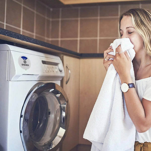 Dishwasher Magnet Clean Dirty Running Sign Indicator Works Washing Dishwashers A