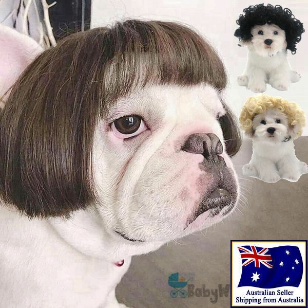Pet Wig Small Dog Cat Cosplay Cross Dressing Hair Transforming Prop Halloween